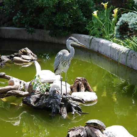 Готель Al Giardino Fanna Екстер'єр фото