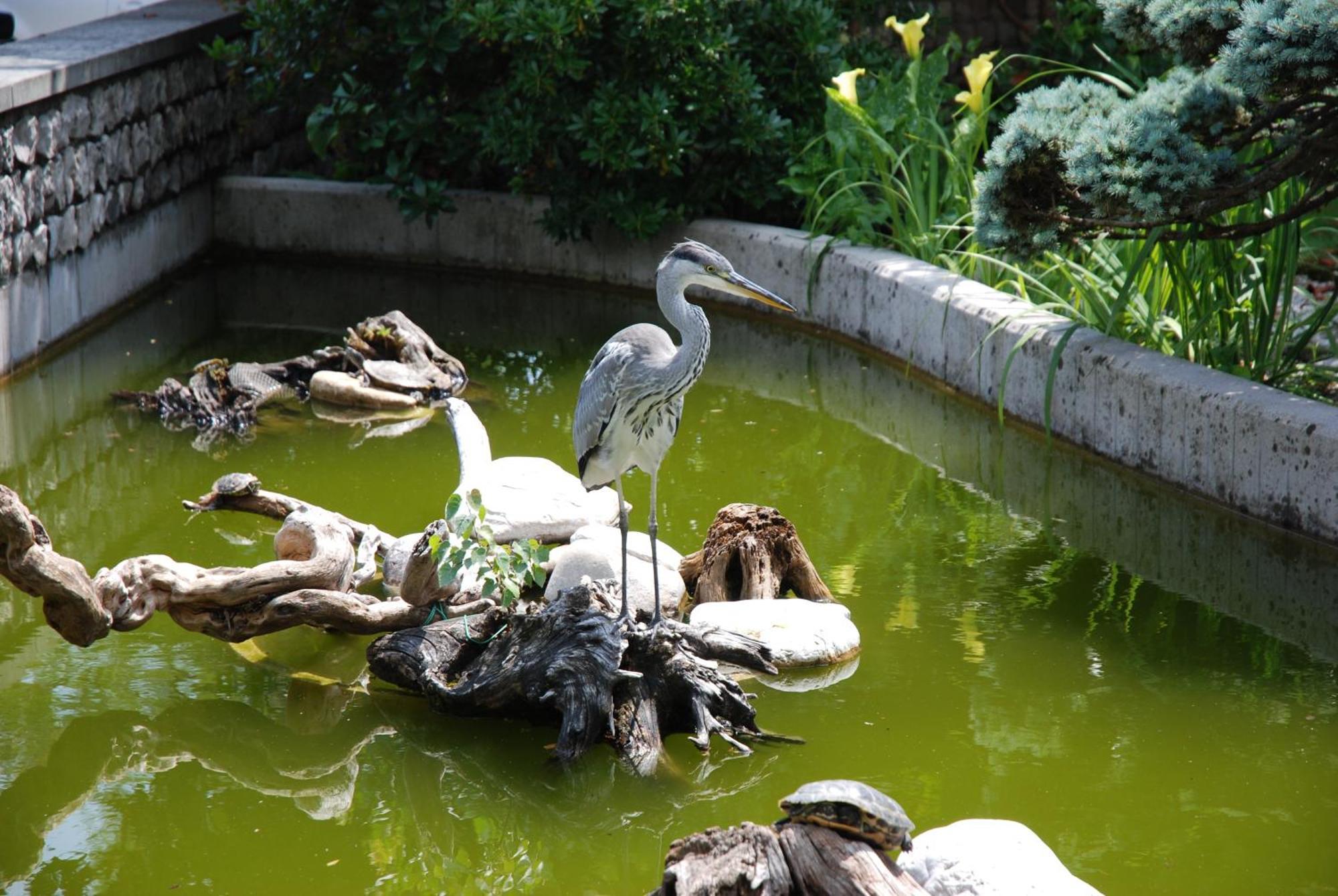 Готель Al Giardino Fanna Екстер'єр фото